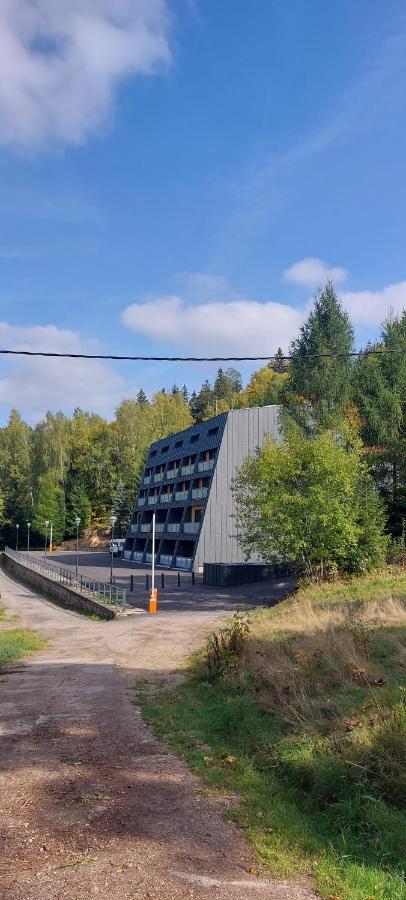 Apartman Na Kraji Lesa Janov nad Nisou Eksteriør billede
