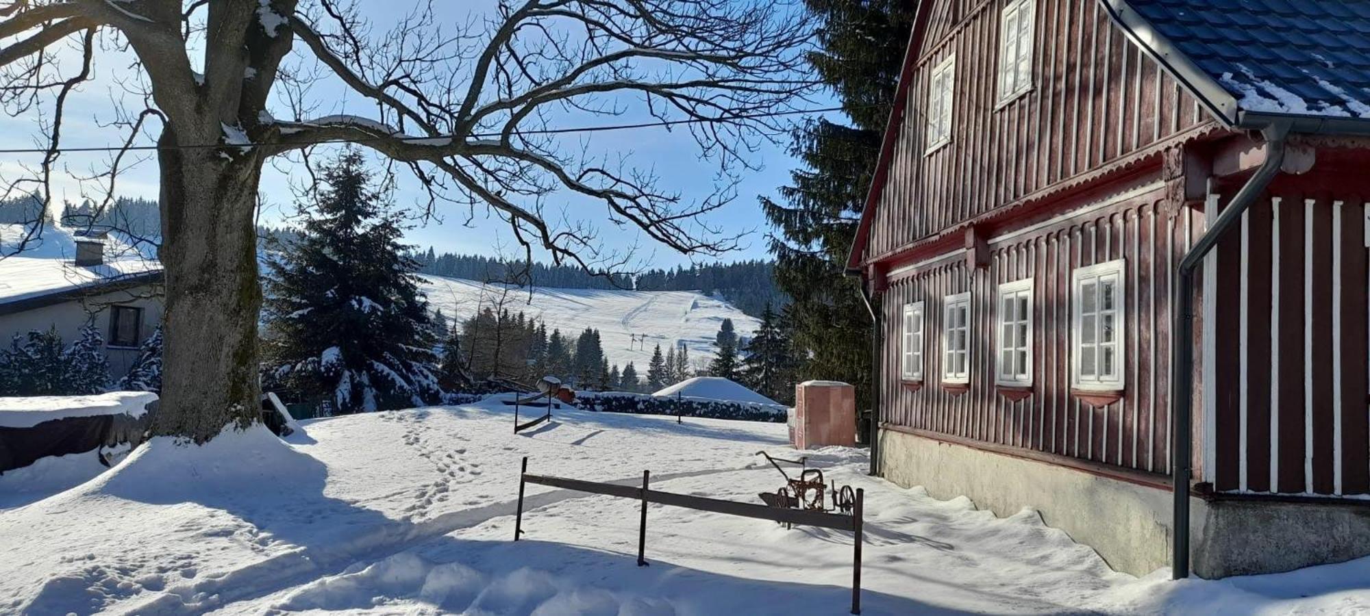 Apartman Na Kraji Lesa Janov nad Nisou Eksteriør billede
