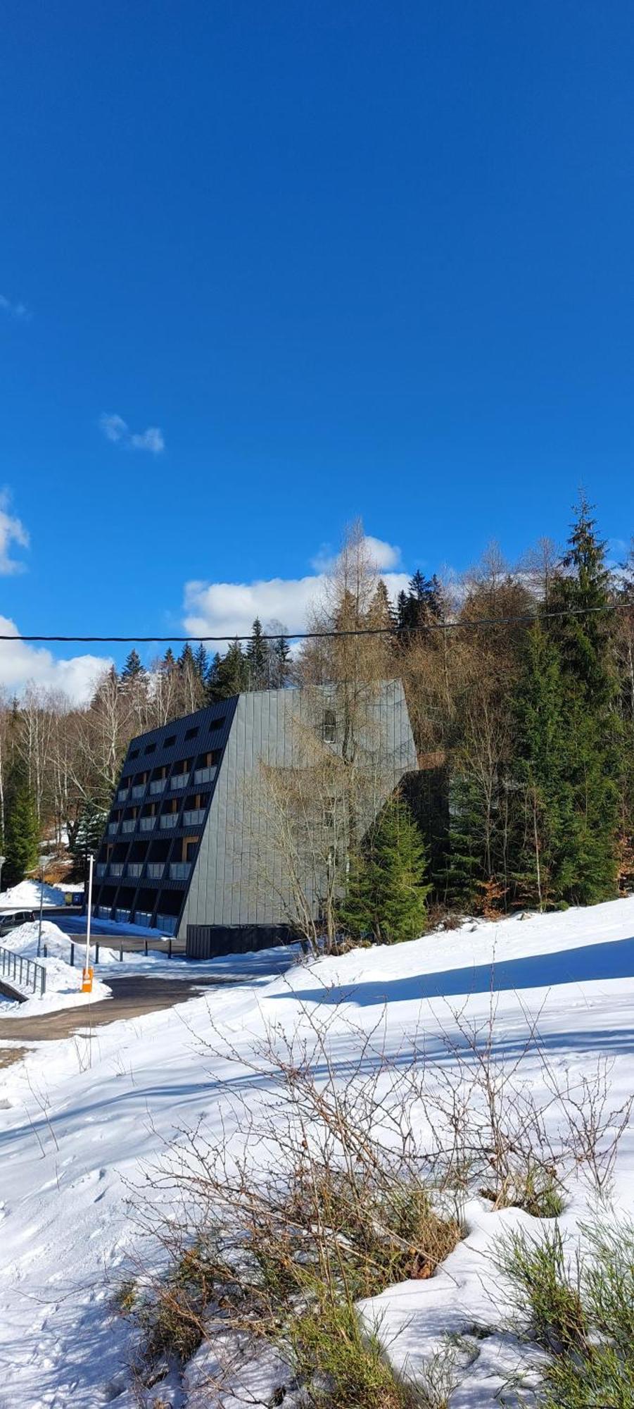 Apartman Na Kraji Lesa Janov nad Nisou Eksteriør billede