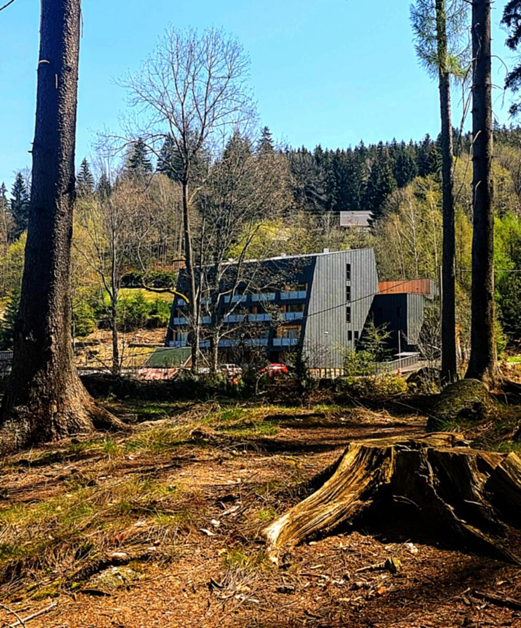 Apartman Na Kraji Lesa Janov nad Nisou Eksteriør billede